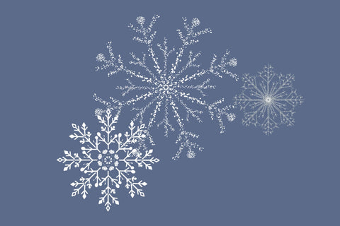 Snowflake Bundle Winter printable Sublimation Willow Paige Farms 