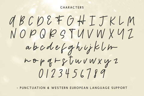 Solstice Script Font Beck McCormick 