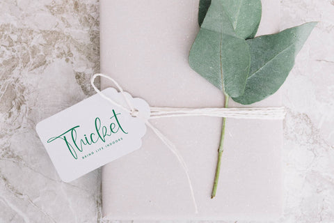 Sophia Mitha - Freestyle Stylish Font Font Letterena Studios 