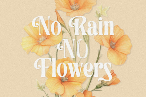 Sophista - Ligature Serif Font Font studioalmeera 