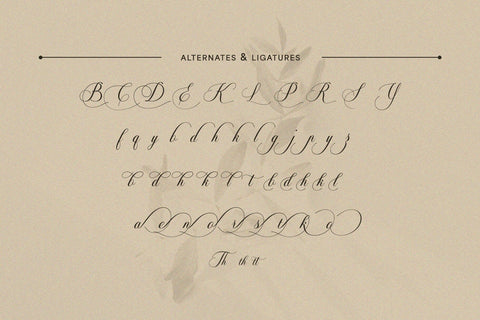 Soralize - A Modern Calligraphy Font Font studioalmeera 