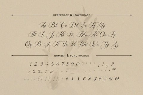 Soralize - A Modern Calligraphy Font Font studioalmeera 