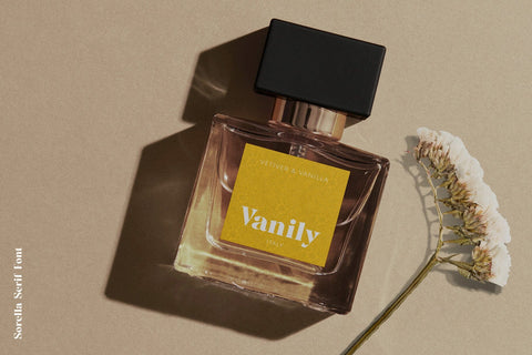 Sorella - Bold Serif Font Font studioalmeera 