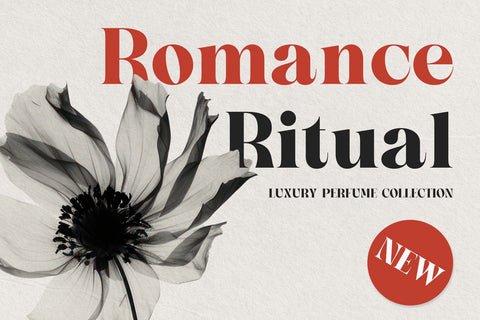 Sorella - Bold Serif Font Font studioalmeera 