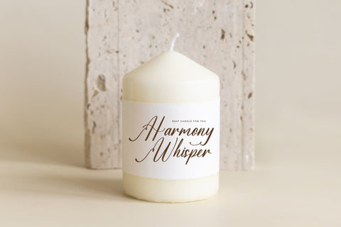 Sovinhaya Dictaselin - Modern Beauty Calligraphy Font Letterena Studios 