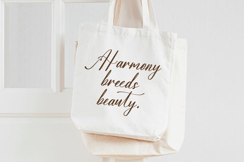 Sovinhaya Dictaselin - Modern Beauty Calligraphy Font Letterena Studios 