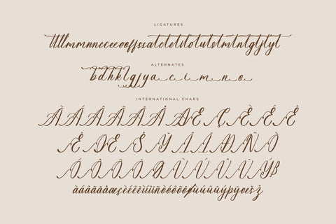 Sovinhaya Dictaselin - Modern Beauty Calligraphy Font Letterena Studios 