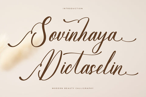 Sovinhaya Dictaselin - Modern Beauty Calligraphy Font Letterena Studios 