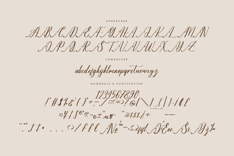 Sovinhaya Dictaselin - Modern Beauty Calligraphy Font Letterena Studios 