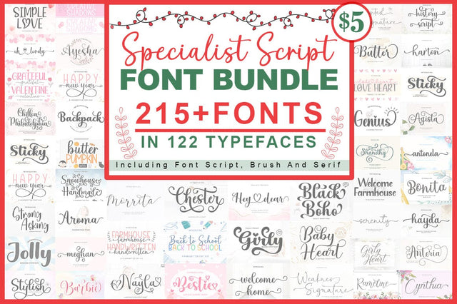 Specialist Script Font Bundle Font Rotterlab studio 