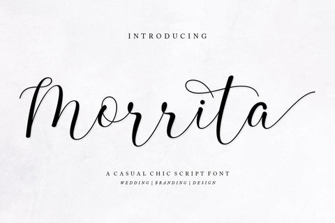 Specialist Script Font Bundle Font Rotterlab studio 