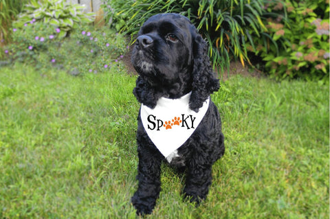 Spooky Paw Print SVG | Halloween Pet Lover Cut File | Dog Mom and Cat Lover Halloween SVG SVG Pickled Thistle Creative 