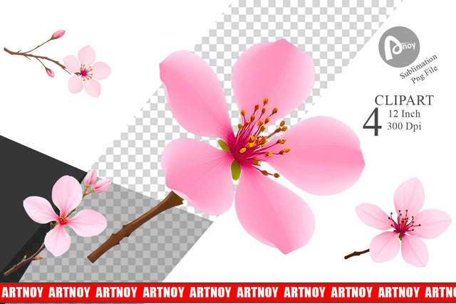 Spring Blossom Clipart Sublimation artnoy 