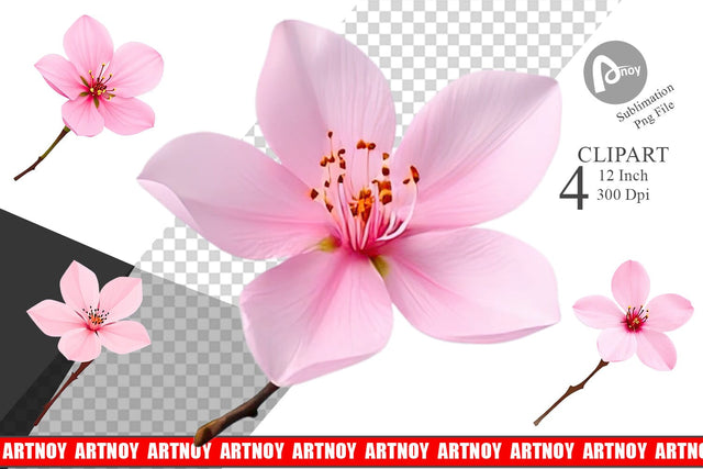 Spring Blossom Clipart Sublimation artnoy 