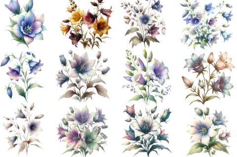 Spring Campanula Flower Clipart Bundle Sublimation SVGista 