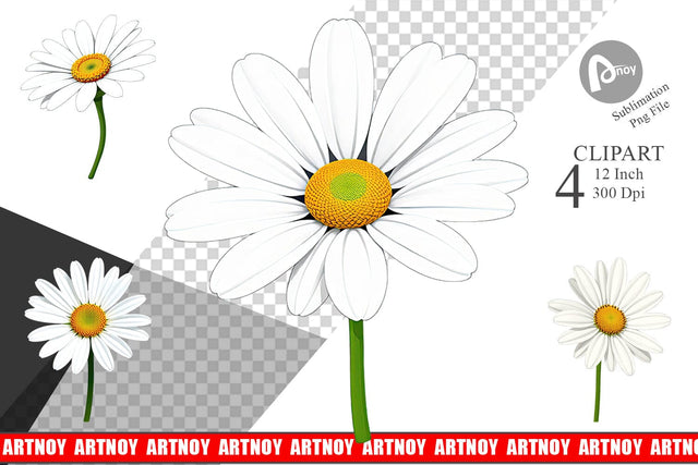 Spring Daisy Clipart Sublimation artnoy 
