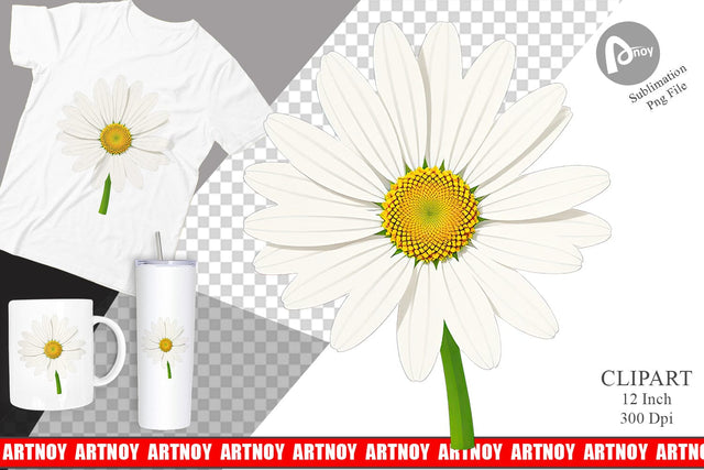Spring Daisy Clipart Sublimation artnoy 