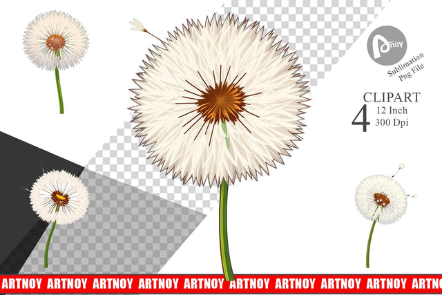 Spring Dandelion Clipart Sublimation artnoy 