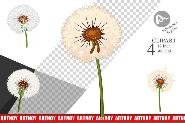 Spring Dandelion Clipart Sublimation artnoy 