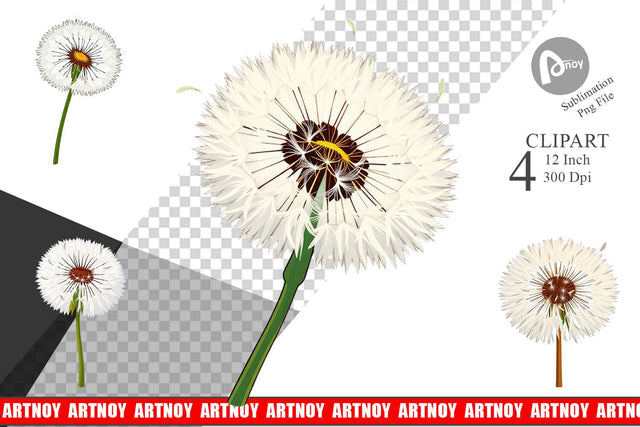 Spring Dandelion Clipart Sublimation artnoy 