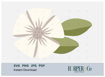 Spring Flower 5 SVG PNG Cut EPS File SVG HarperNCo 
