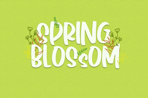Spring Garden Font Dm Letter Studio 
