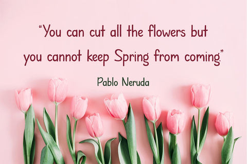 Spring It On Font Misti's Fonts 