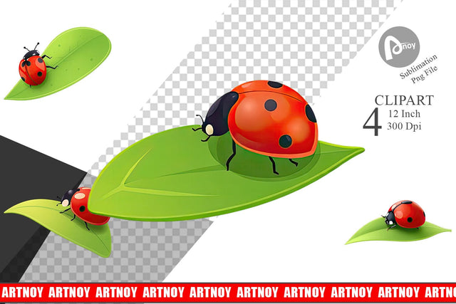 Spring Ladybug Clipart Sublimation artnoy 