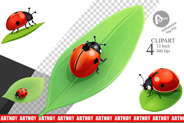 Spring Ladybug Clipart Sublimation artnoy 