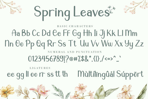 Spring Leaves Font AEN Creative Store 