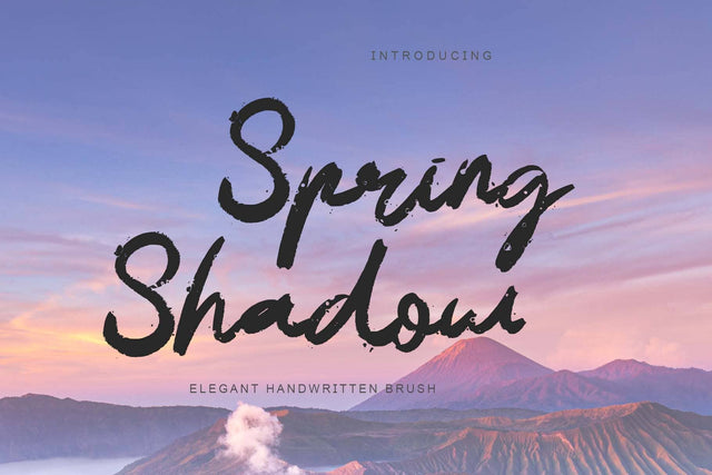 Spring Shadow Font Prasetya Letter 