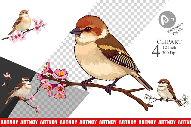 Spring Sparrow Clipart Sublimation artnoy 