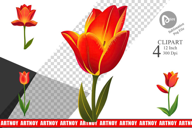 Spring Tulip Clipart Sublimation artnoy 