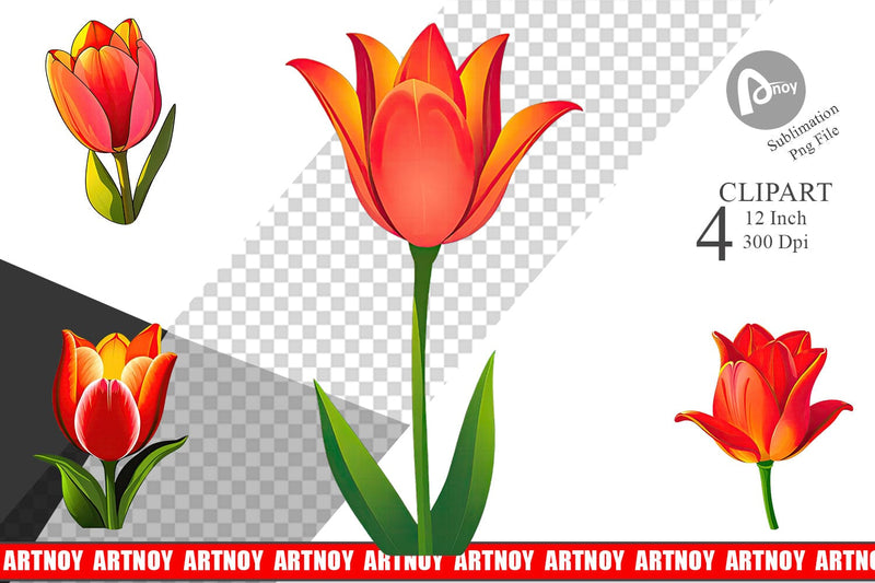 Spring Tulip Clipart Sublimation artnoy 