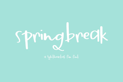 Springbreak Script Font Font Beck McCormick 