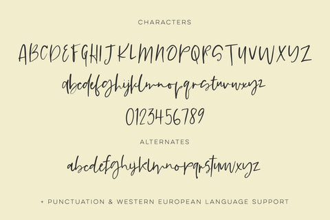 Springlet Script Font Beck McCormick 