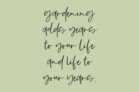 Springlet Script Font Beck McCormick 