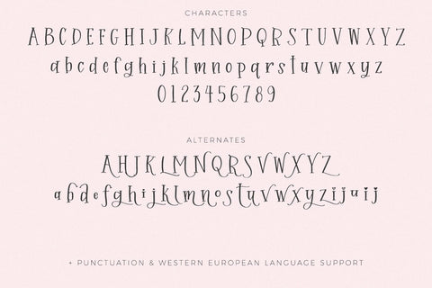 Sprinkle Cookie Serif Font Beck McCormick 