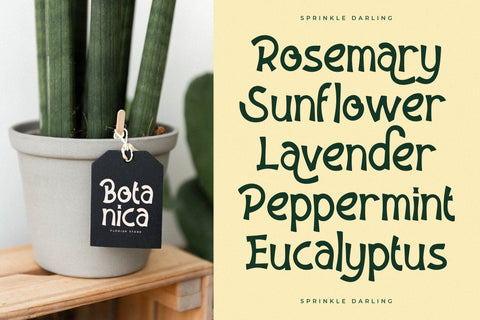 Sprinkle Darling Typeface Font Storytype Studio 