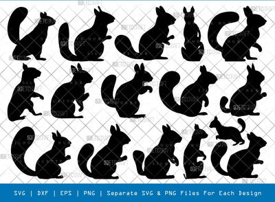 Squirrel Svg Cricut Cut Files Png Bundle, SB01167 SVG ETC Craft 