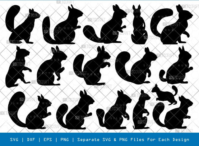Squirrel Svg Cricut Cut Files Png Bundle, SB01167 SVG ETC Craft 