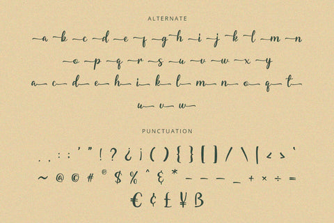 Starella - Script Font Font Alpaprana Studio 