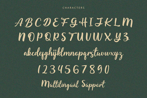 Starella - Script Font Font Alpaprana Studio 