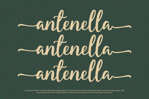 Starella - Script Font Font Alpaprana Studio 