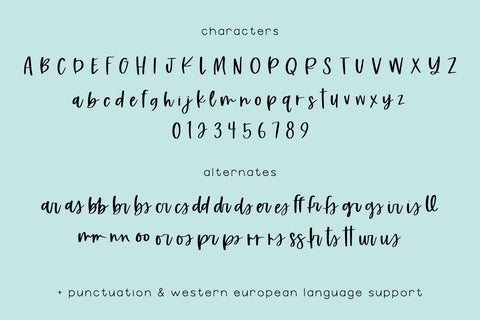 Starfield Script Font Font Beck McCormick 