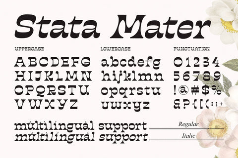 Stata Mater Font Four Lines Std. 