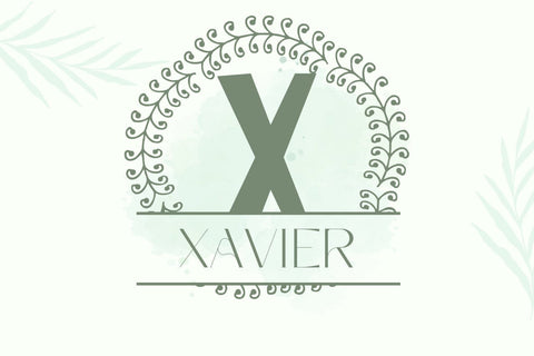 Sterlingly Split Monogram Font Font Dm Letter Studio 