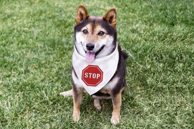 Stop Sign Octagon Mini Embroidery Embroidery/Applique DESIGNS Risa Rocks It 