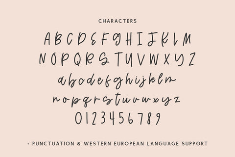 Streamfield Script Font Beck McCormick 