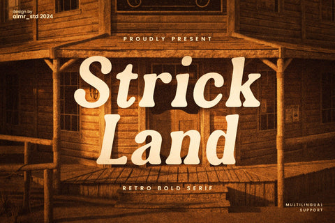 Strickland - Retro Bold Serif Font studioalmeera 